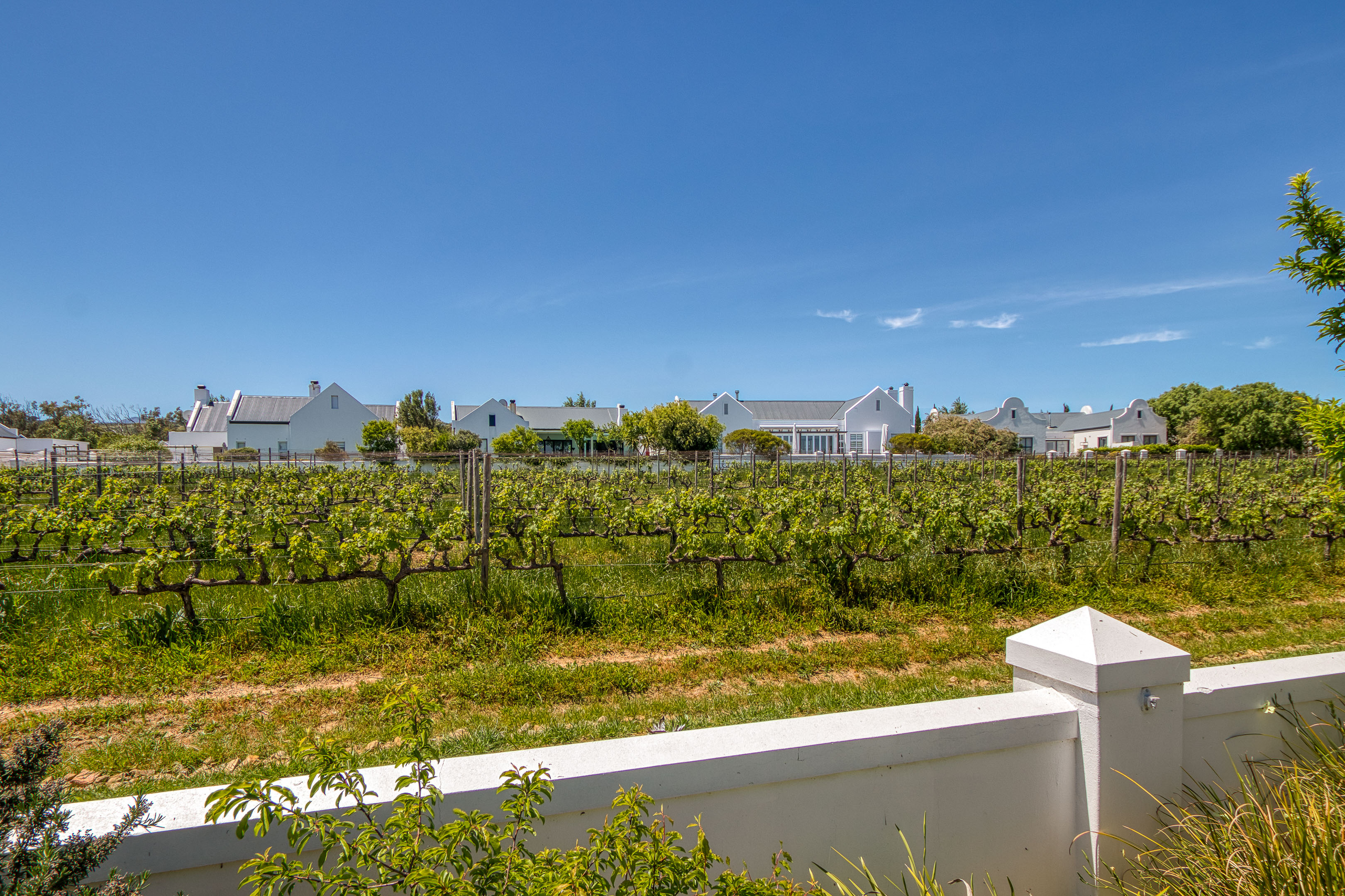 3 Bedroom Property for Sale in Croydon Vineyard Estate Western Cape